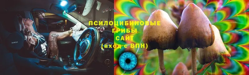 гидра как войти  Верхний Уфалей  маркетплейс клад  Галлюциногенные грибы MAGIC MUSHROOMS 